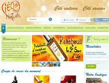 Tablet Screenshot of ieo.fr